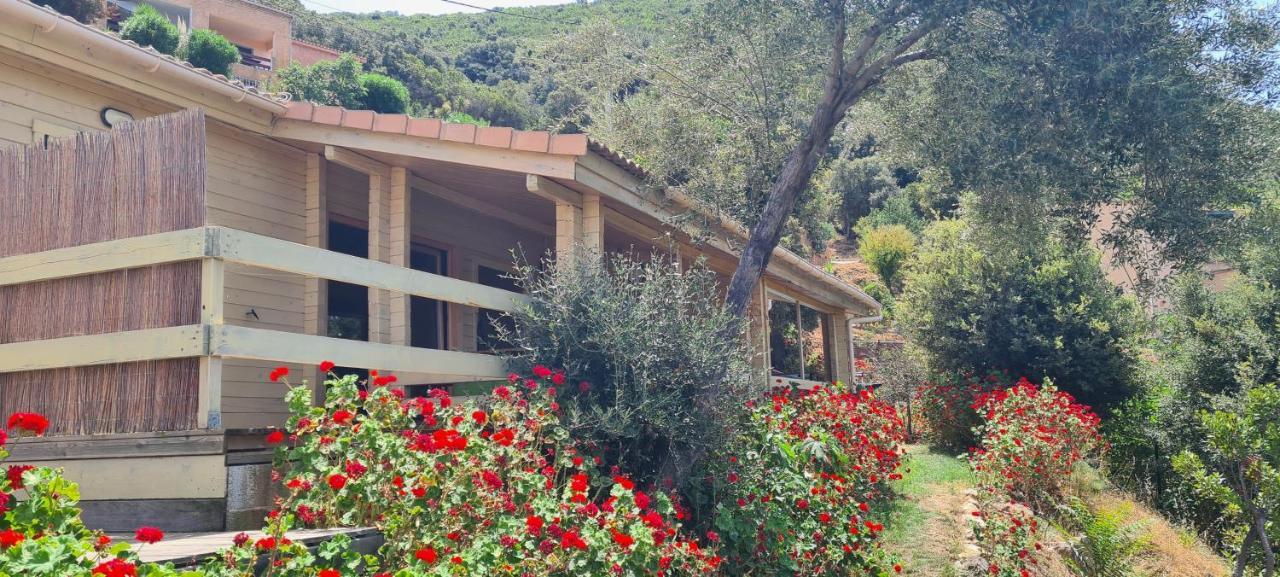Les Terrasses De Scaglioli Villa Villanova Exterior photo