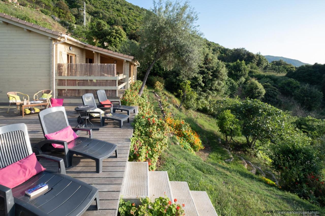 Les Terrasses De Scaglioli Villa Villanova Exterior photo